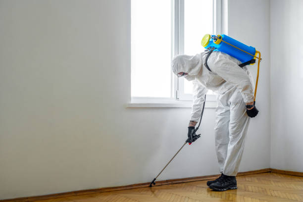Best Commercial Pest Control Services  in Gold Canyon, AZ