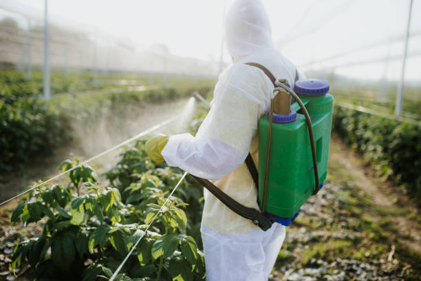 Wildlife Control Services in Gold Canyon, AZ